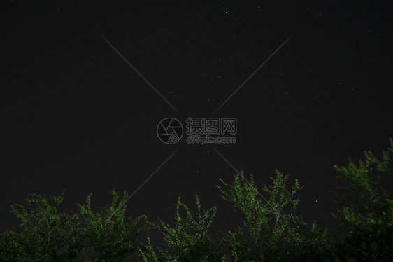 夜里天空和星在树上方的黑暗夜晚带图片