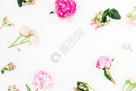 粉红面条超生和玫瑰的花框白色图片