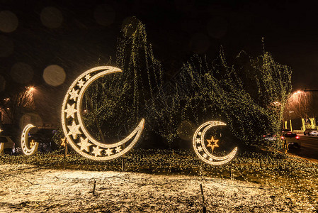 雪中长春净月潭森林公园夜景图片