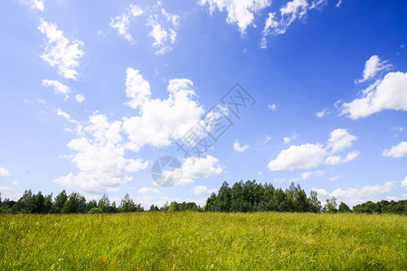 风景以绿地森林和蓝天空为景观图片