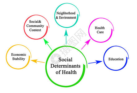 健康的社会决定因素图片