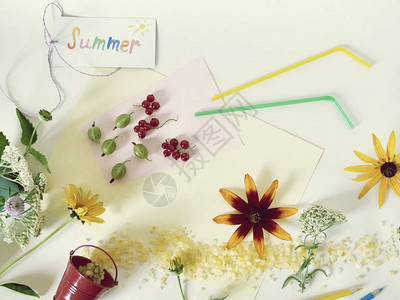 明信片的成分包括夏季浆果鸡尾小管鲜花和浅背景最背景图片