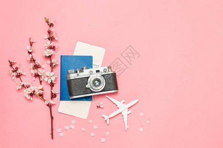 飞机花丛飞机票照相机和护照图片
