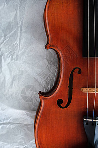 小提琴的半前侧图片