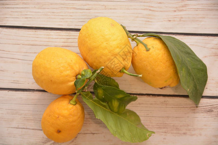 桌上的柑柠檬黄新鲜水果桌上背景图片