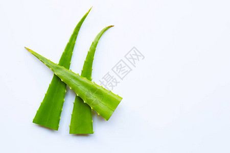 Aloevera是一家受人欢迎的药用植物用于健康和美貌图片