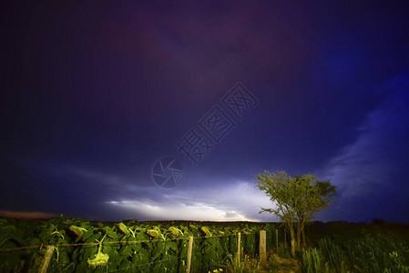 阿根廷潘帕斯风暴天背景图片