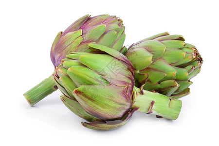 新鲜的Artichokes被隔离在白图片