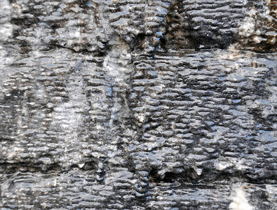 来自钙化层的带有棕色和灰色的湿石灰图片