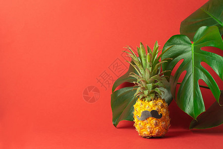 有趣的装饰菠萝图片