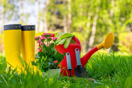 园艺工作工具和园丁防护图片