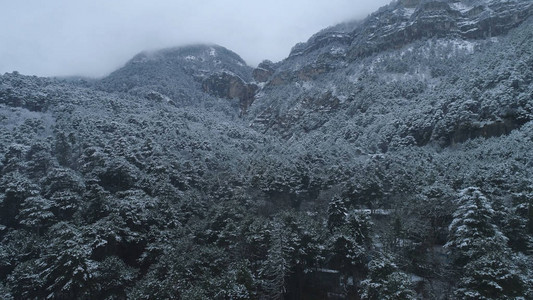 冬季现代小屋的针叶山林和被雪覆盖的山坡的景色图片