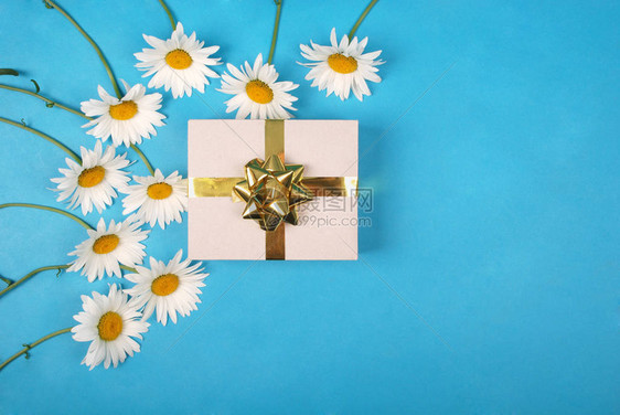 白甘菊带礼物盒和金丝结弓生日情人节图片