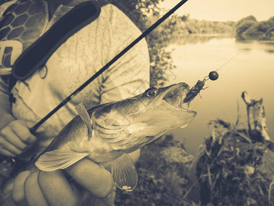 渔夫抓到一条鱼手里拿着一条鱼图片