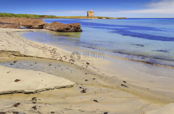 TorreGuacetoItaly自然保护区陆地和海洋之间的自然保护区图片