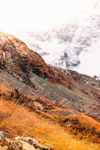 山边红头发秋天山谷的黄草地平线图片