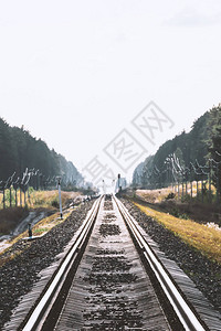 透视空长铁路上的铁路红绿灯森林铁路地平线上的神秘现象铁轨上的海市蜃图片