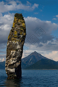 位于阿瓦查湾岩石上的海鸥聚集在ViluchinskayaSopka火图片