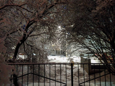 白雪皑的冬天的城市冷冰的景色图片