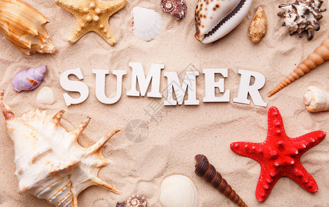 夏天的文字来自白字母和海壳还有沙上的海星图片