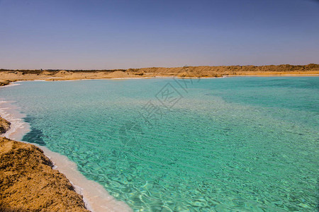 埃及锡瓦的盐湖图片