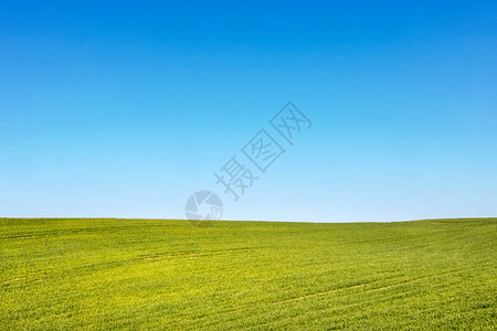 春天或夏天风景的极简主义镜头图片