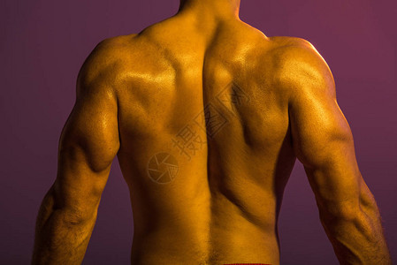紫色背景的肌肉躯体外肌肤的无衬衣运动图片