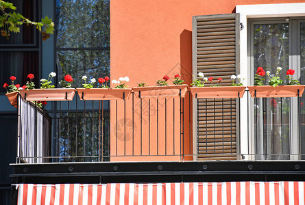 鲜花建筑的阳台图片