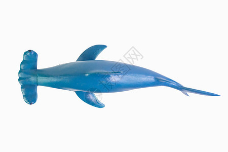 玩具锤头鲨孤立的特写图像图片
