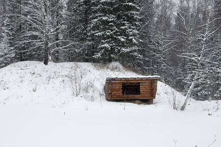 一个孤单的木建筑在密的森林里堆成图片