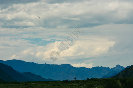 空中飞翔的鸟儿在旋涡云的背景之下蓝山的风景图片