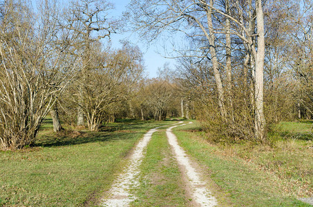 蜿蜒的碎石路穿过绿色景观图片