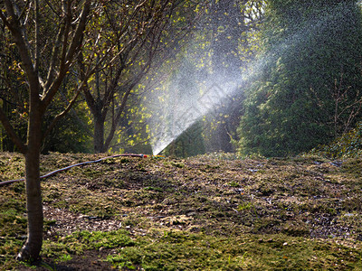 喷水器在春季丘陵草坪上喷水图片