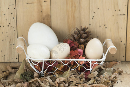 在一个篮子的复活节彩蛋有木背景图片
