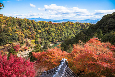 日本京都亚林山秋季山上多彩的红树林从森科寺庙观察点看图片