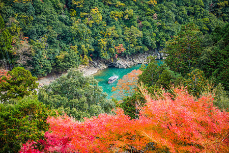 日本京都亚林山秋季山上多彩的红树林从森科寺庙观察点看图片