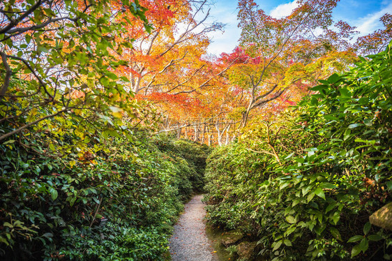 OkochiSanso花园图片