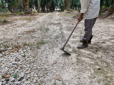 锄草的不知名男子图片