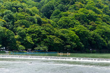 日本京都的阿拉希山或亚林山图片