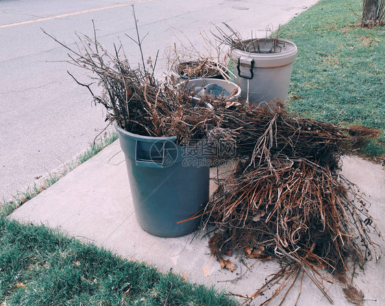 带有切开的旧干树枝的垃圾箱地上垃圾关心和保护环境垃圾收集日春季大扫图片