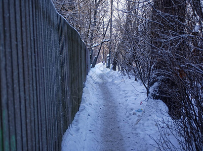 Russi雪中脚图片