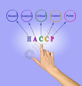 HACCP监管要求图图片