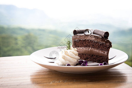 美味的黑巧克力蛋糕在白盘上加奶油图片