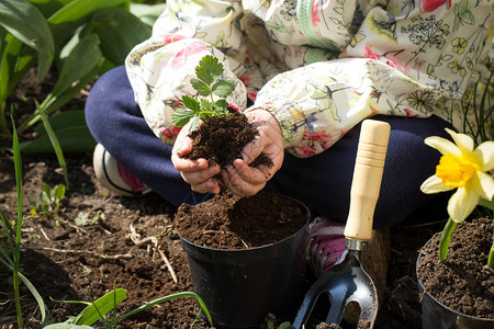 小孩种花图片