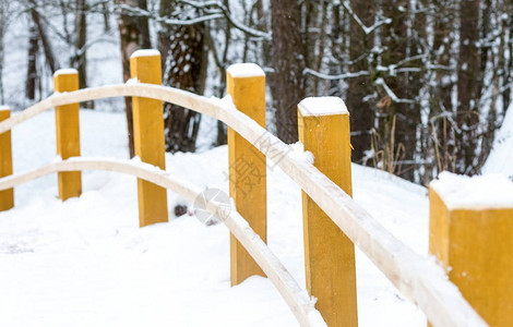 雪道森林步行黄色木柱弯曲窗帘栏杆图片