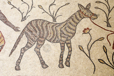 约旦尼波山古代马赛克中的斑马图片