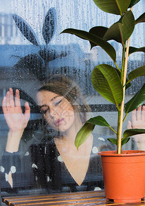 雨下不及窗外的植物之后潮湿窗户附近的背景图片