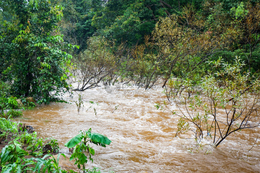 暴雨过后河水洪泛滥迅速从中的山流图片