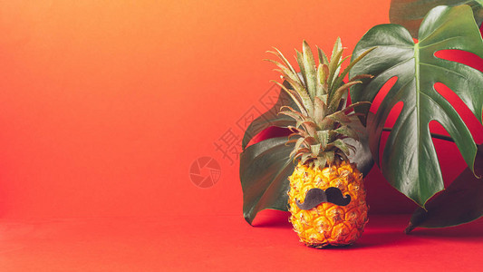 成熟的菠萝图片