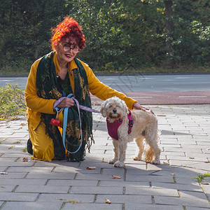 在秋天公园带着狗走着红头发图片